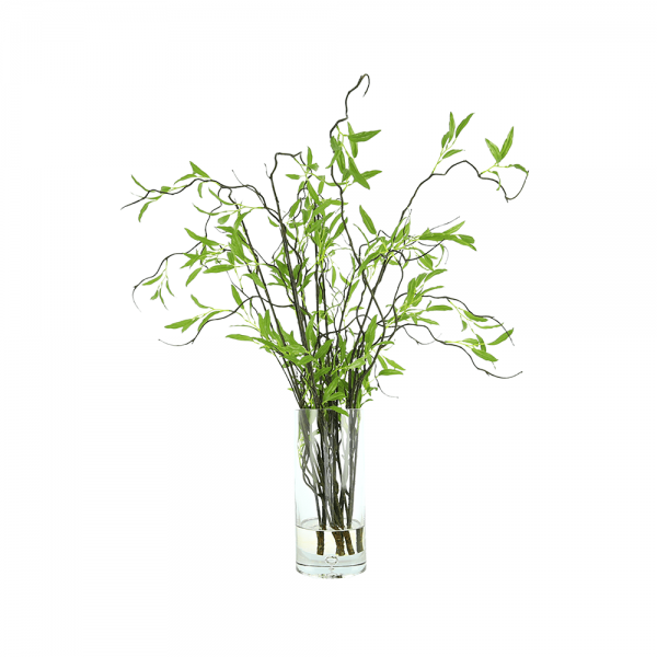 Willow Branch Arranged in Glass Vase