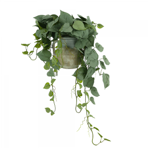 Frosted Ivy Arranged in Clay Pot