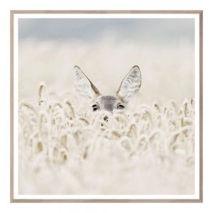 Peekaboo Deer - Large