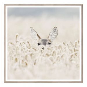 Peekaboo Deer - Large