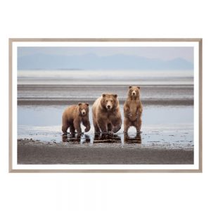 Natural - Bear Family - Large