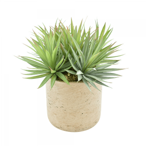 Creative Displays Yucca Arrangement in Gray Fiberstone Pot