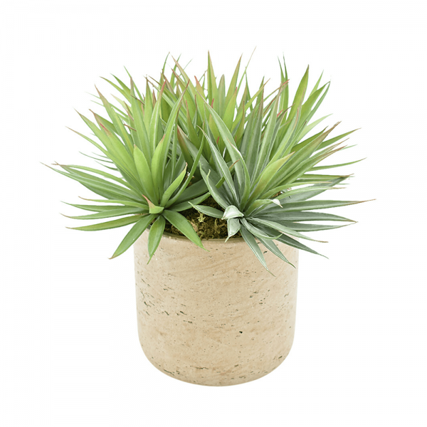 Creative Displays Yucca Arrangement in Gray Fiberstone Pot