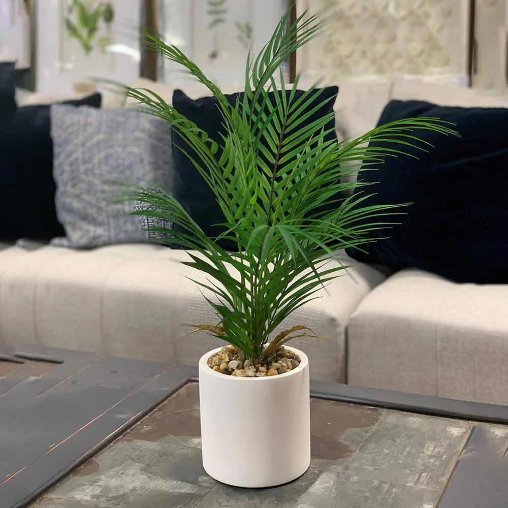 Creative Displays Palm w/ River Rock in White Round Fiberstone Pot