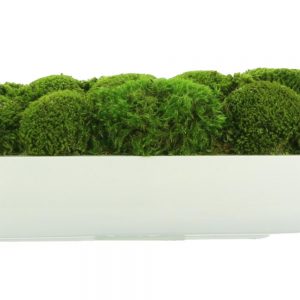 Moss Arrangement in Oblong Planter - Image 2