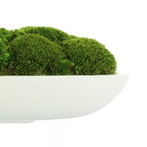 Creative Displays Green Moss Arrangement in White Glossy Oblong Planter