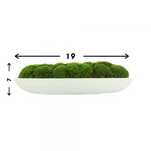 Creative Displays Green Moss Arrangement in White Glossy Oblong Planter