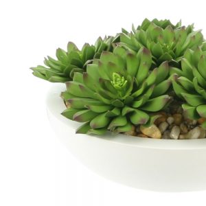 Echeveria Succulent Arranged in Round Planter - Image 3