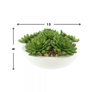 Echeveria Succulent Arranged in Round Planter - Image 4