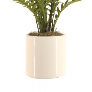 Creative Displays Fern Plant w/ Spanish Moss in White Ceramic Pot