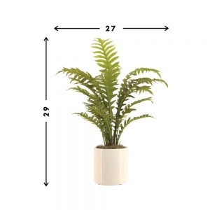 Fern Arranged in Ceramic Pot with Moss - Image 5