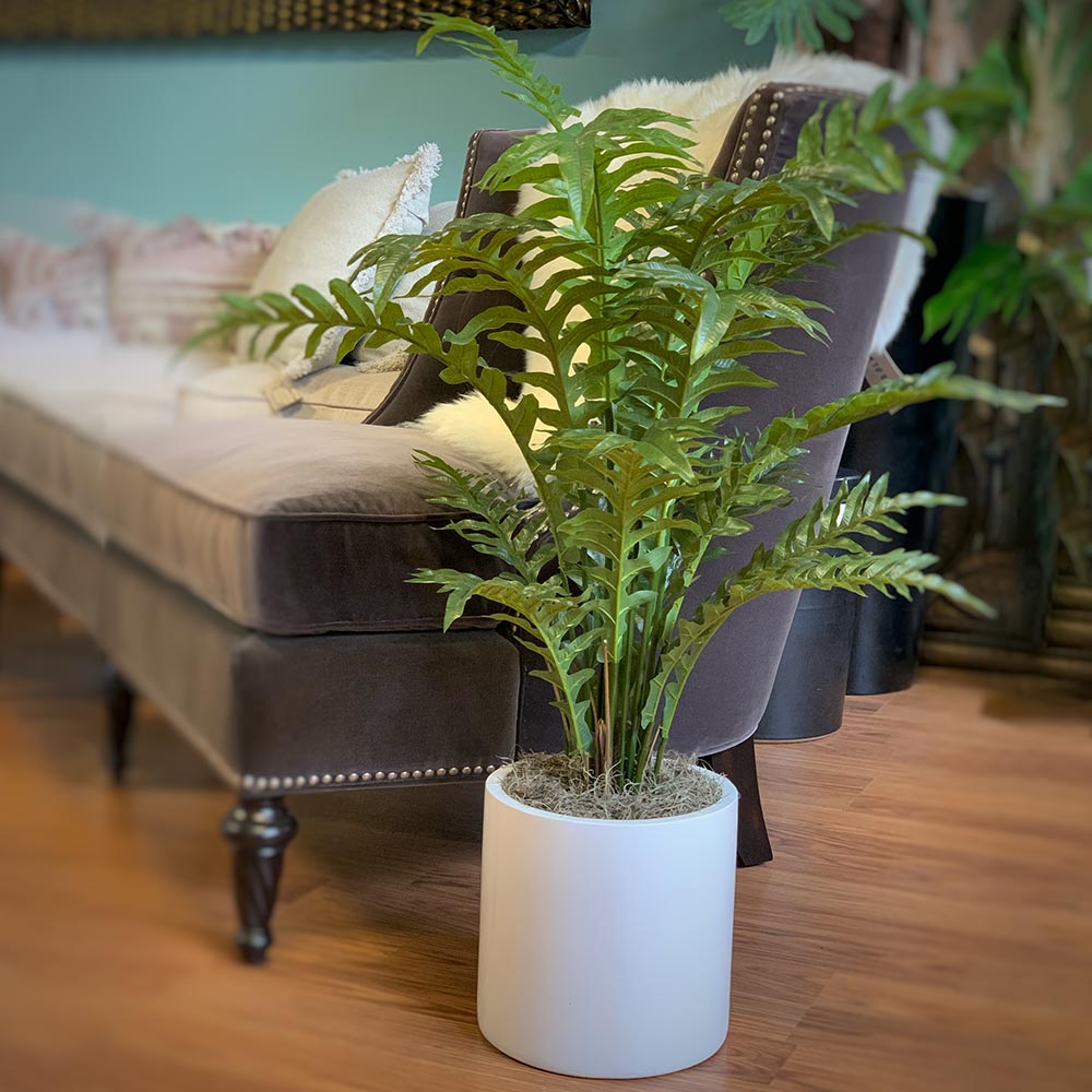 Creative Displays Fiddle Leaf Tree in White Cylindrical Fiberstone Pot