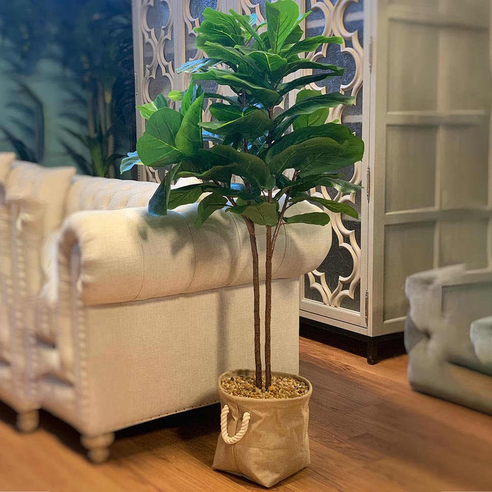 Creative Displays Fern Plant w/ Spanish Moss in White Ceramic Pot