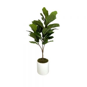 Creative Displays Fiddle Leaf Tree in White Cylindrical Fiberstone Pot