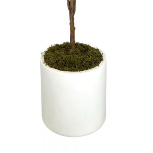 Creative Displays Fiddle Leaf Tree in White Cylindrical Fiberstone Pot