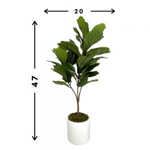 Creative Displays Fiddle Leaf Tree in White Cylindrical Fiberstone Pot