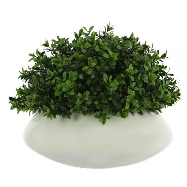 Creative Displays Boxwood in White Round Fiberstone Planter