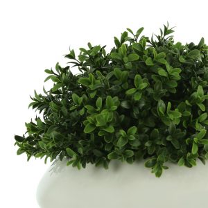 Creative Displays Boxwood in White Round Fiberstone Planter