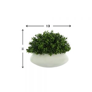 Creative Displays Boxwood in White Round Fiberstone Planter