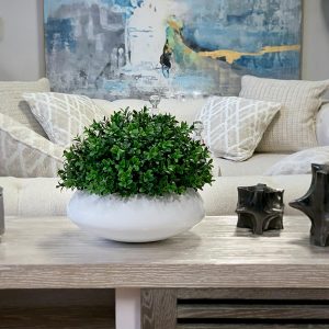 Creative Displays Boxwood in White Round Fiberstone Planter