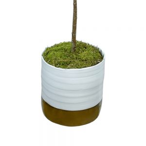 Creative Displays Fiddle Leaf Tree in White/Gold Ceramic Pot