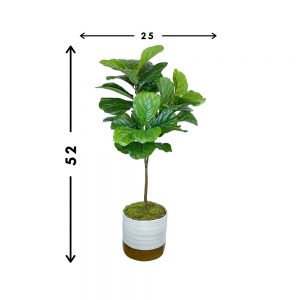 Creative Displays Fiddle Leaf Tree in White/Gold Ceramic Pot