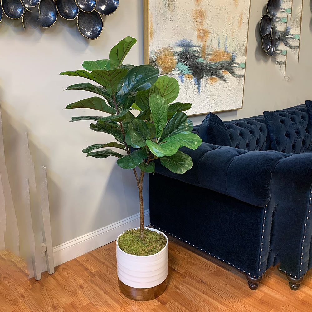 Creative Displays Fiddle Leaf Tree in White/Gold Ceramic Pot