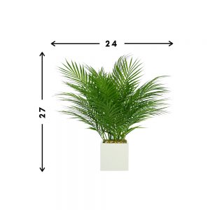 Creative Displays Areca Palm w/ Rocks in White Fiberstone Square Pot