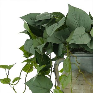 Creative Displays Frosted Ivy in Clay Seafoam Pot