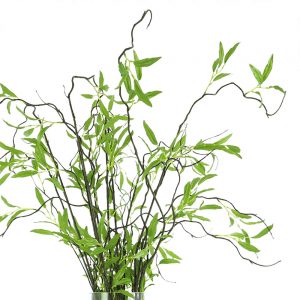 Creative Displays Willow Branch Arrangement in Tall Glass Vase