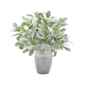 Creative Displays Lamb's Ear Arrangement in Blue/Gray Ceramic Vase