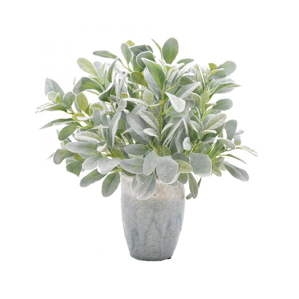 Creative Displays Lamb's Ear Arrangement in Blue/Gray Ceramic Vase