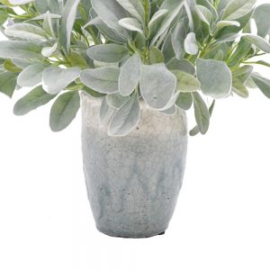 Lamb's Ear Arrangement in Ceramic Vase - Image 3