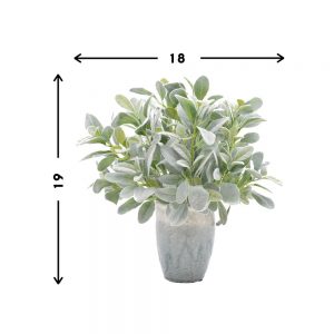 Lamb's Ear Arrangement in Ceramic Vase - Image 4