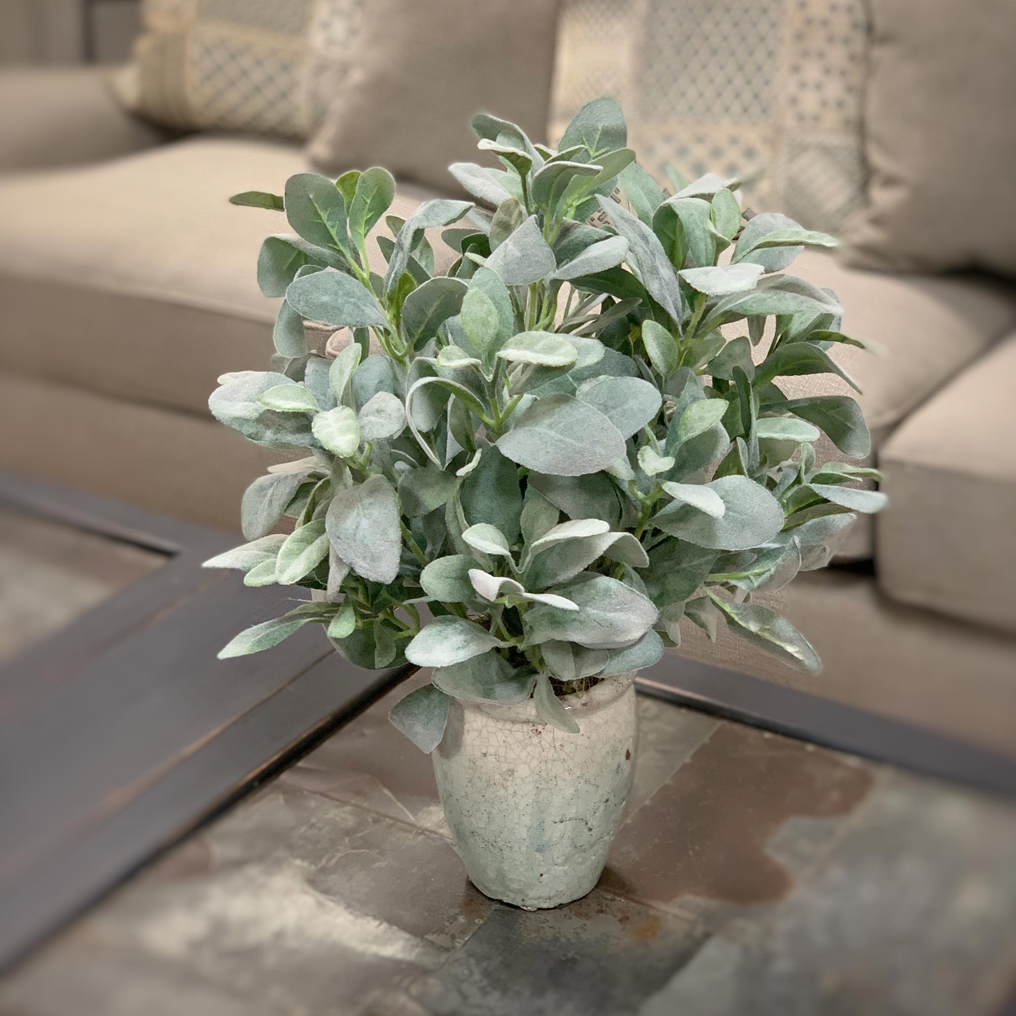 Creative Displays Lamb's Ear Arrangement in Blue/Gray Ceramic Vase