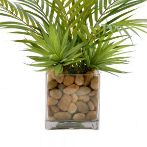 Creative Displays Palm Leaf & Cactus Plant w/ River Rock in Square Glass Vase