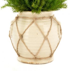 Creative Displays Green Cedar Plant in Cream Ceramic Pot w/ Rope