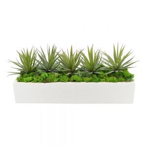 Creative Displays Spiked Cactus Arrangement in Glossy White Pot