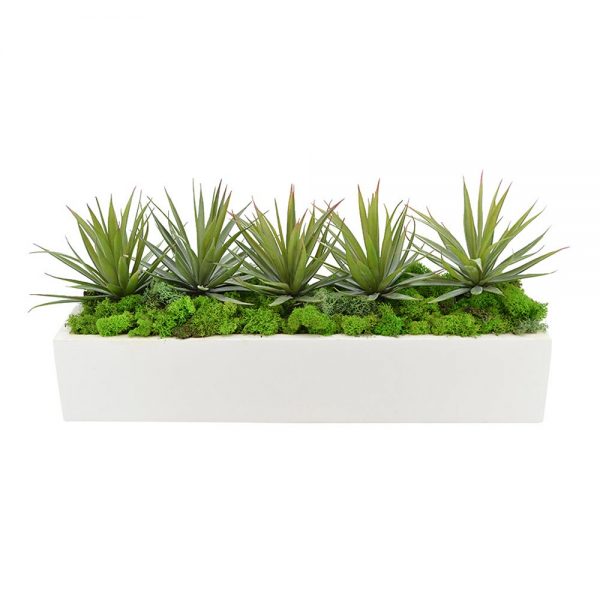 Creative Displays Spiked Cactus Arrangement in Glossy White Pot