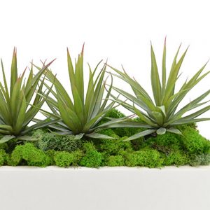 Creative Displays Spiked Cactus Arrangement in Glossy White Pot