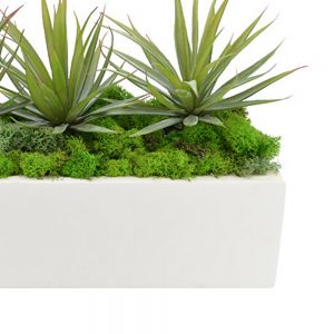 Creative Displays Spiked Cactus Arrangement in Glossy White Pot