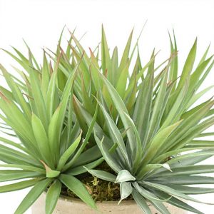 Creative Displays Yucca Arrangement in Gray Fiberstone Pot