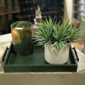 Creative Displays Yucca Arrangement in Gray Fiberstone Pot