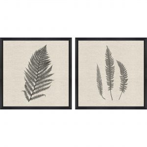 Modern Ferns II Set of 2