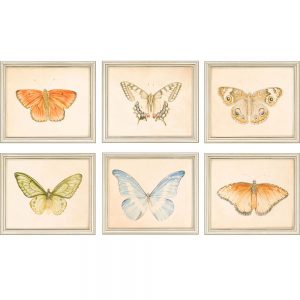 Butterflies Set of 6