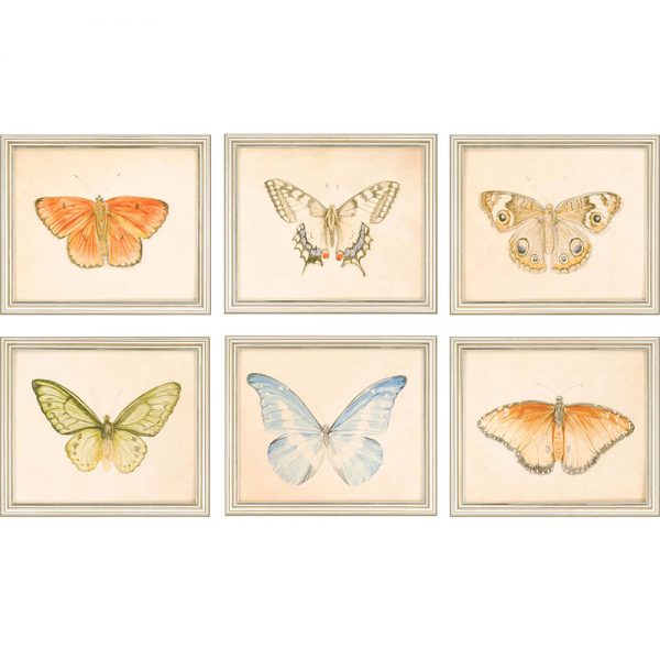 Butterflies Set of 6