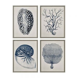 Coastal Set of 4