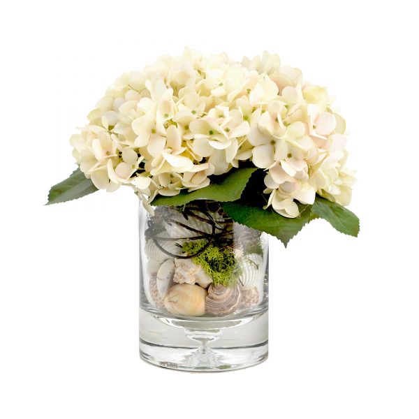 Creative Displays Floral Arrangement with Hydrangea, Shells and Moss in Clear Glass Vase