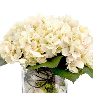 Creative Displays Floral Arrangement with Hydrangea, Shells and Moss in Clear Glass Vase