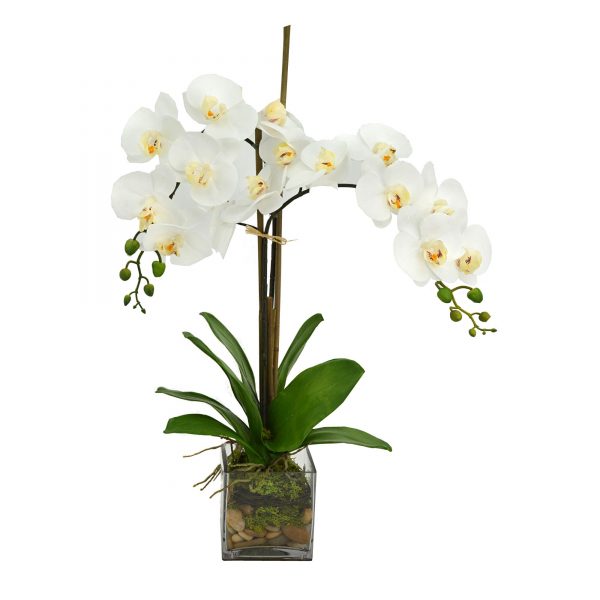 Creative Displays Floral Arrangement with Orchids, Moss and Rocks in Clear Glass Vase